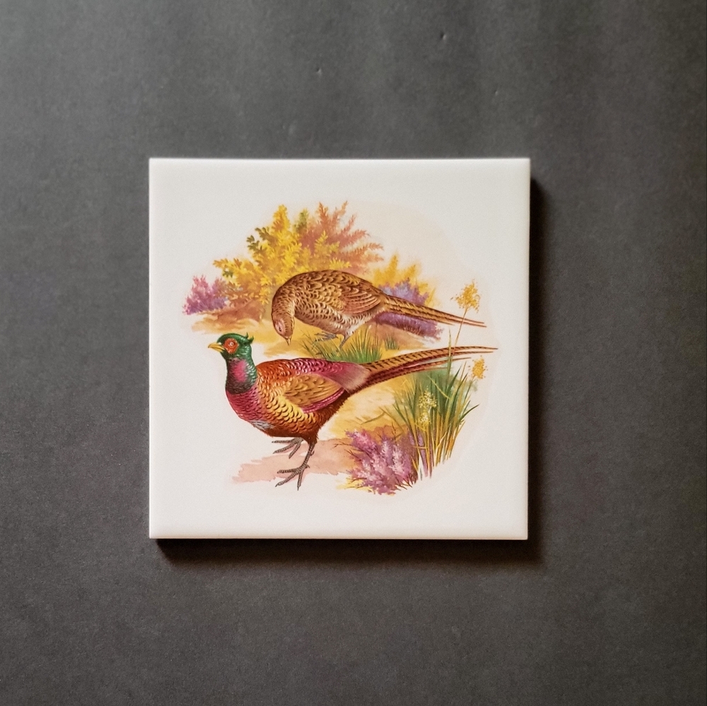Hyalyn Tile Wall Decor/Trivit